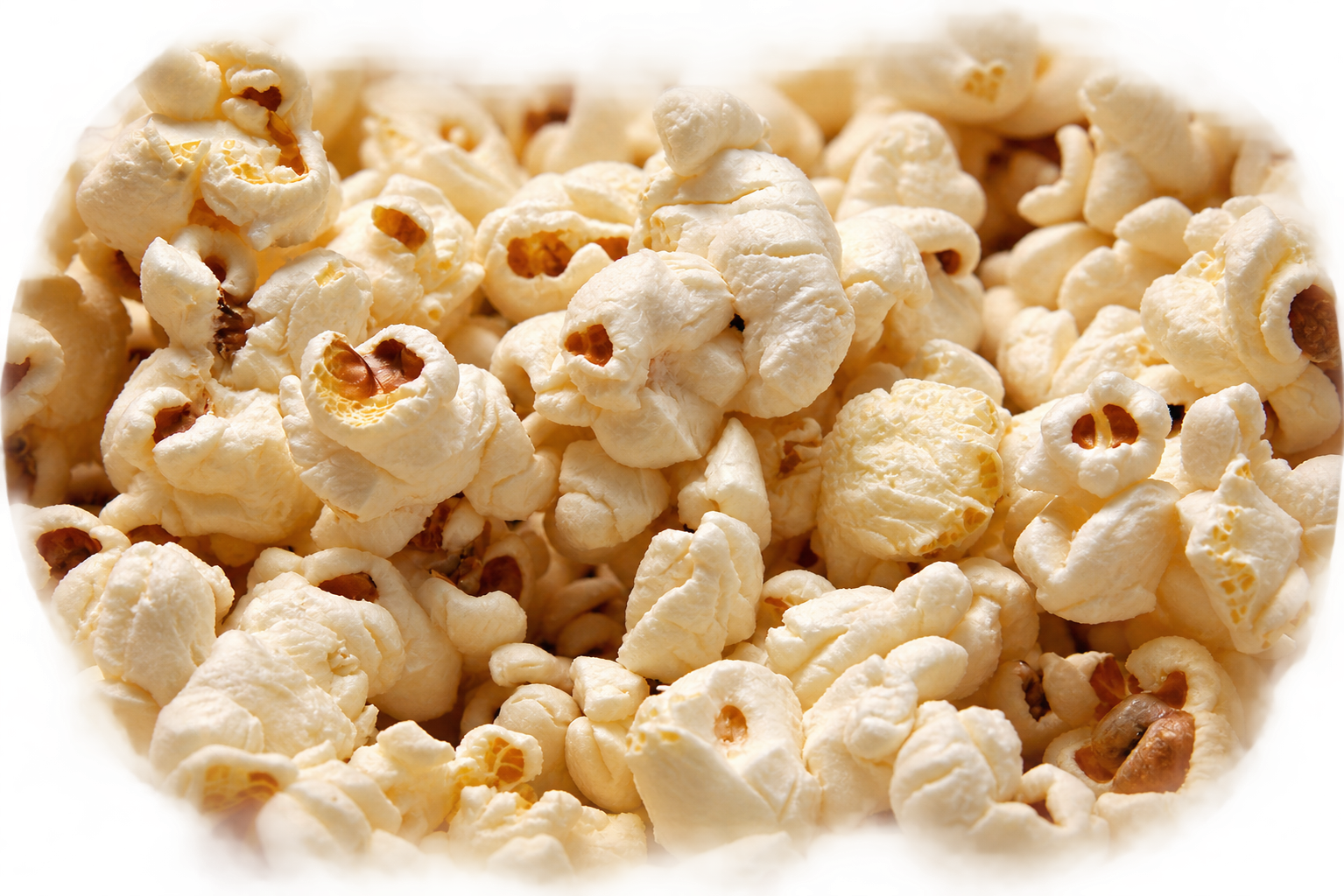 Saison-Sorte Popcorn